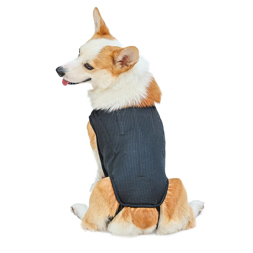 Dog IVDD Back Brace & Support