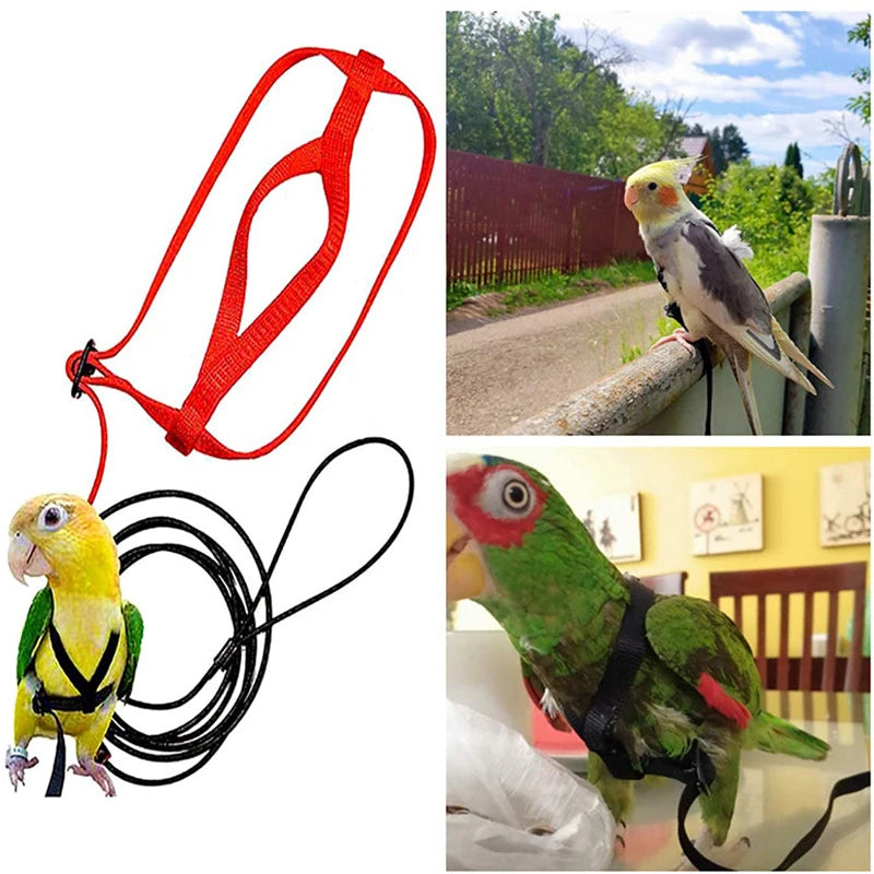 Parrot Flight Harness & Leash