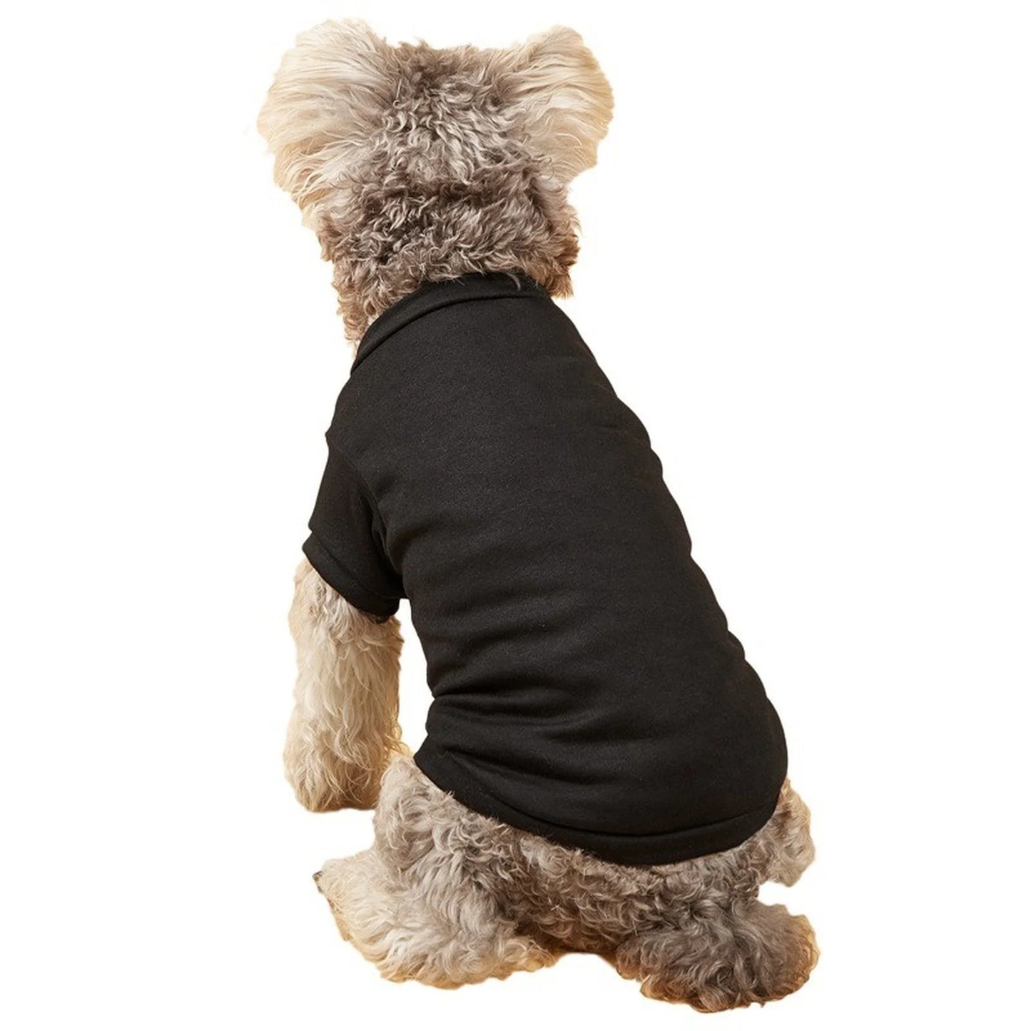 Solid Summer Dog Tee