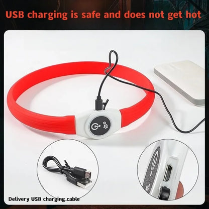 LED Light-Up Dog Collar