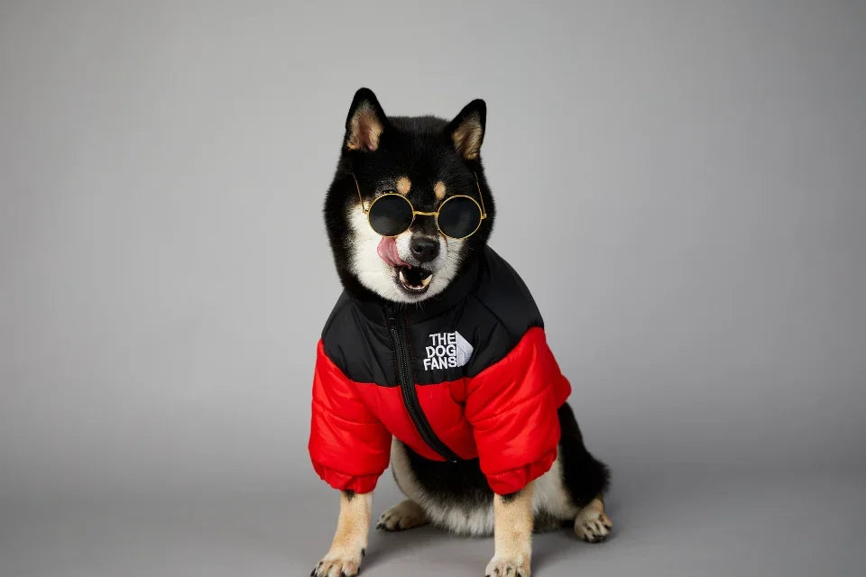 Puppy Down Jacket