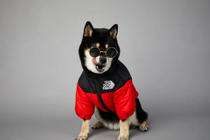 Puppy Down Jacket