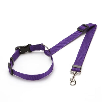 2-in-1 Dog Car Seat Belt & Leash