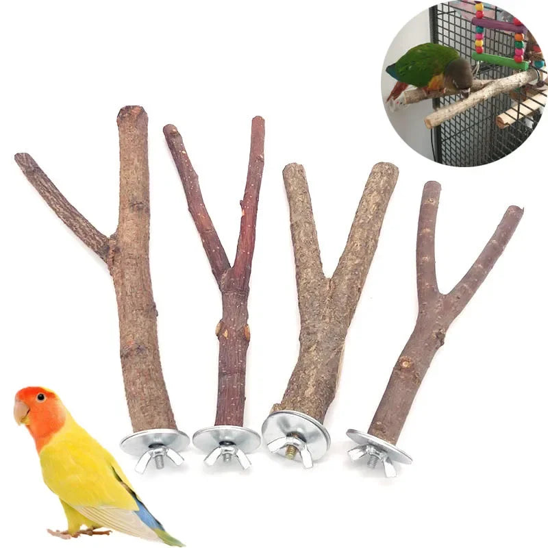 Natural Wood Branch Bird Perch