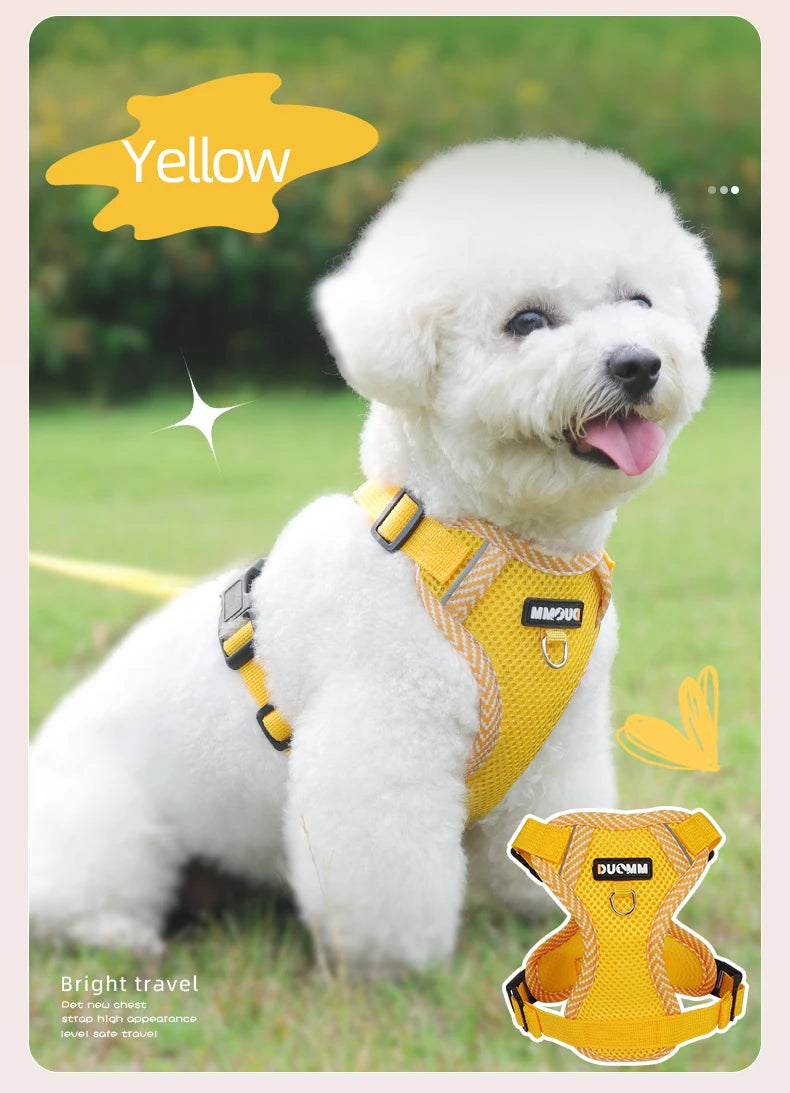 Reflective Mesh Cat Harness & Leash Set