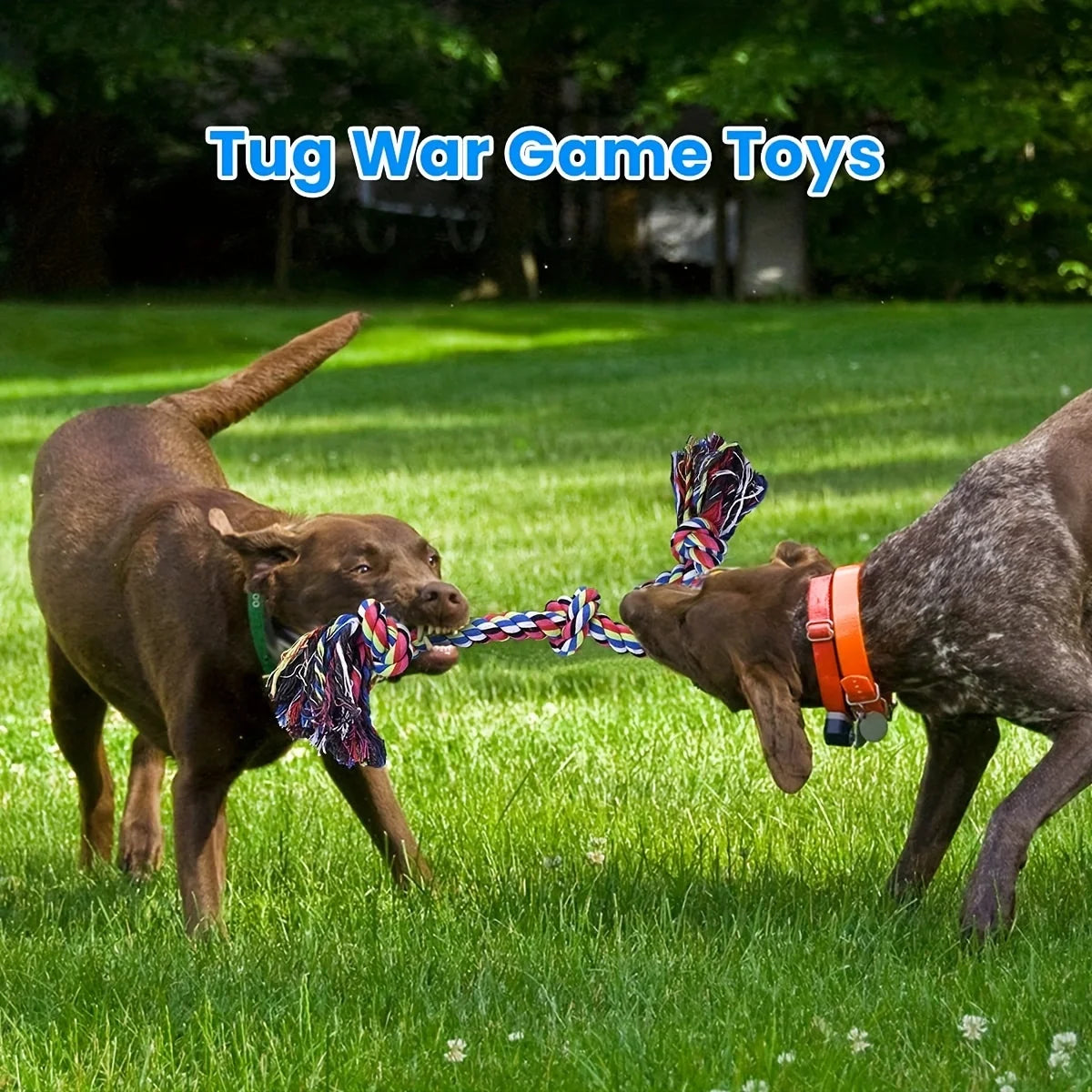 Tug-of-War Knot Dog Toy