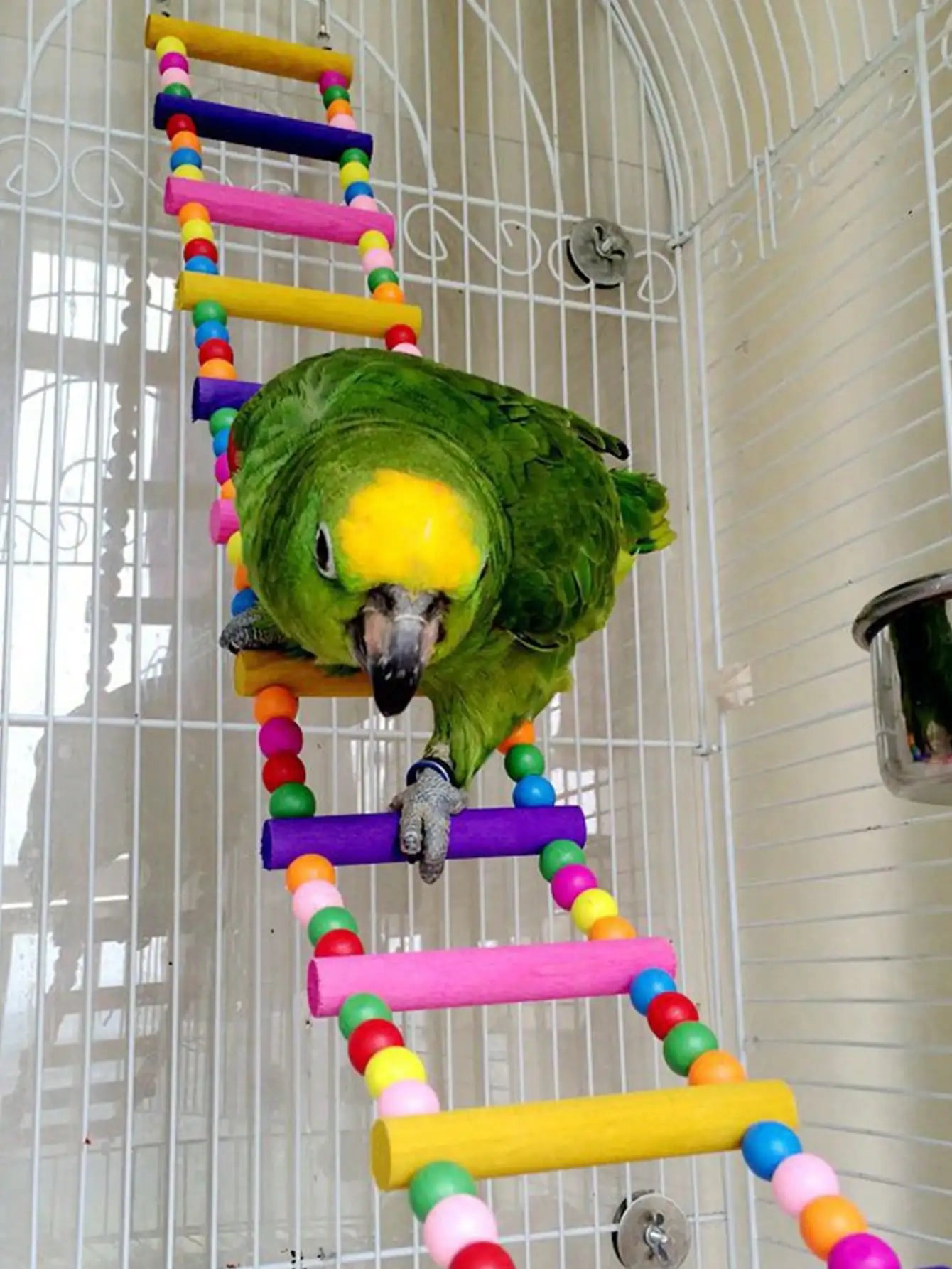 Wooden Bird Ladder & Swing