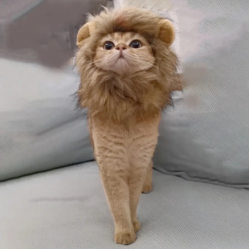 Lion Mane Costume Hat for Cats & Dogs