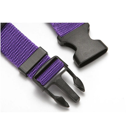 2-in-1 Dog Car Seat Belt & Leash