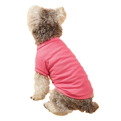 Solid Summer Dog Tee