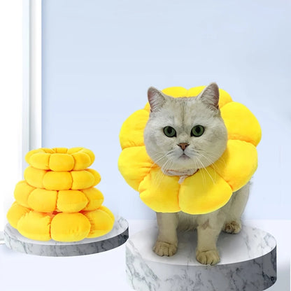 Flower Cat Recovery Collar