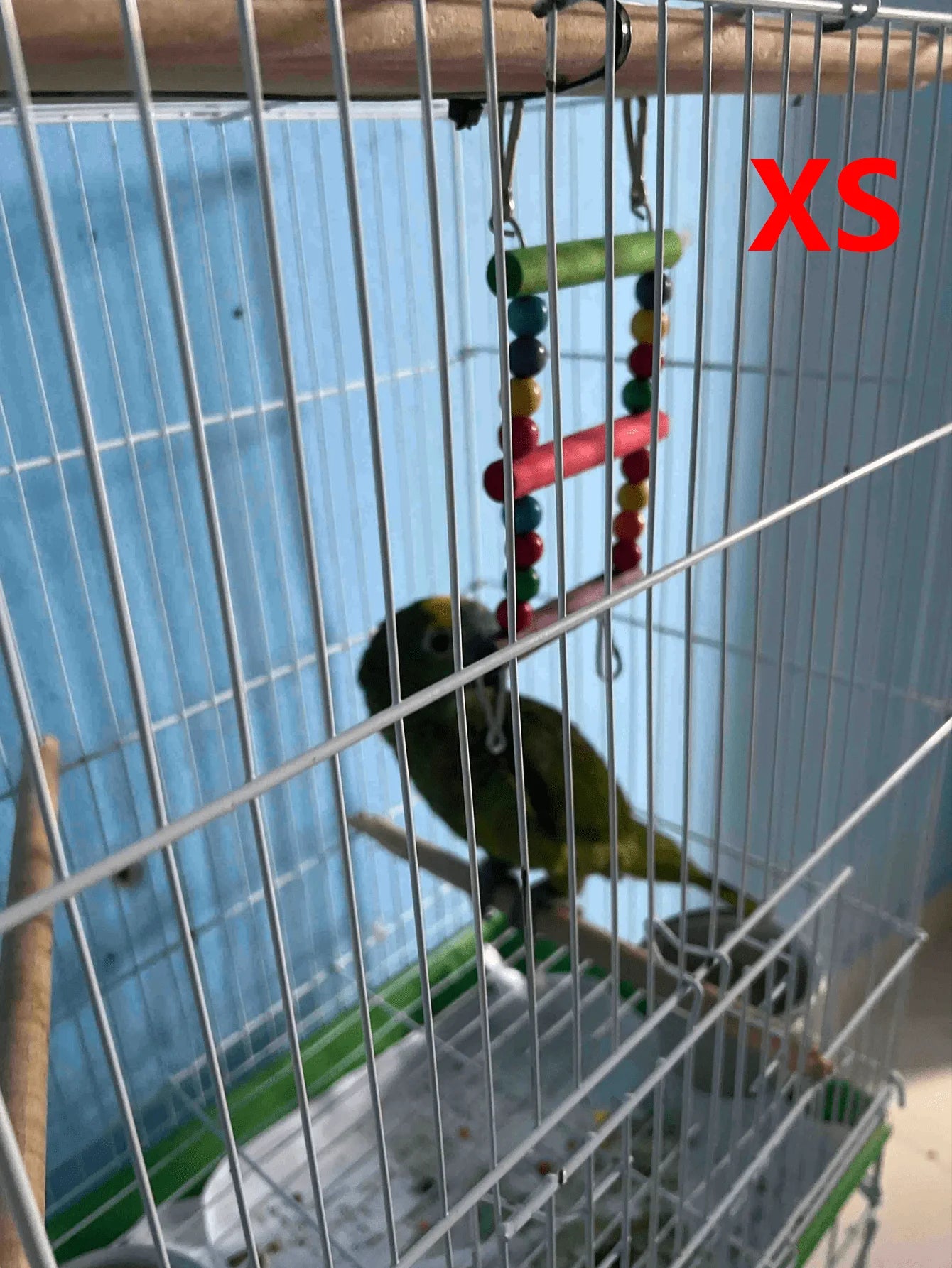 Wooden Bird Ladder & Swing
