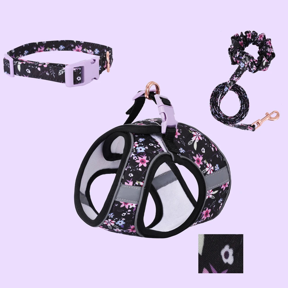 Small Dog Harness & Leash Set