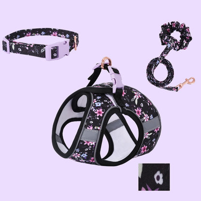 Small Dog Harness & Leash Set