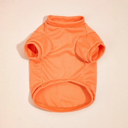 Solid Summer Dog Tee