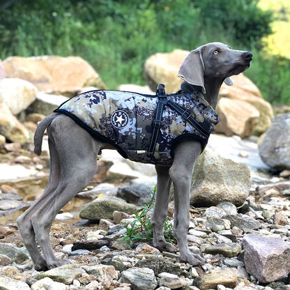 Winter Dog Jacket with Built-In Harness