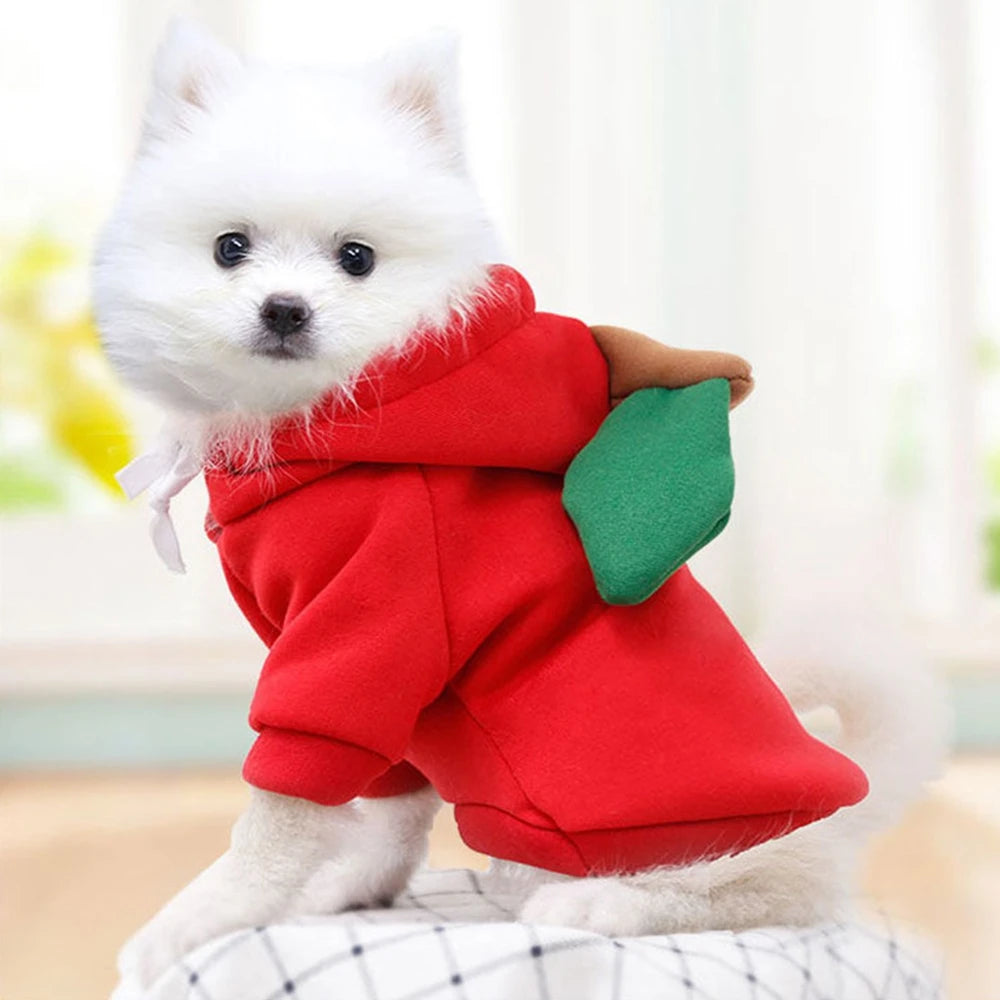 Pet Clothes Dog Hooded Sweatshirt Fruit Warm Coat Cat Sweater Winter Chihuahua Costume for Puppy Small Medium Dogs Cat Clothes