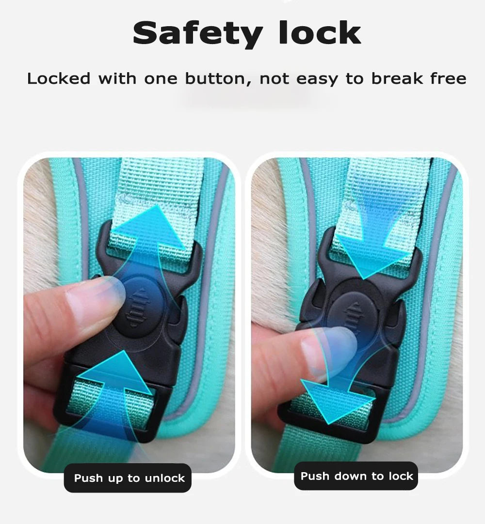Dog Harness & Leash Set with AirTag Holder