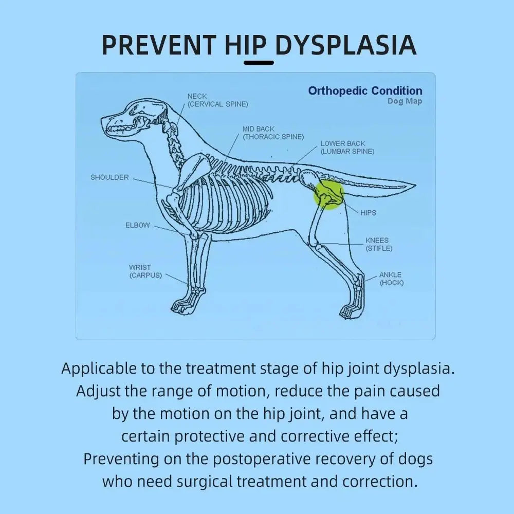 Dog Hip Brace & Hind Leg Support