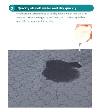 Reusable Washable Pee Pad