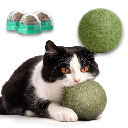 Lickable Catnip Ball Treats