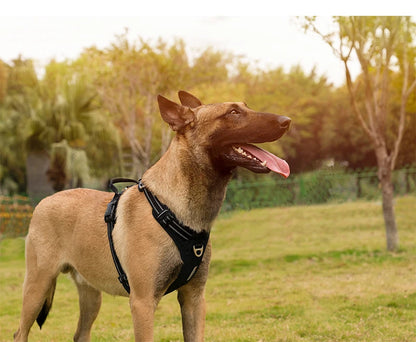 TRUE LOVE No-Pull Reflective Dog Harness