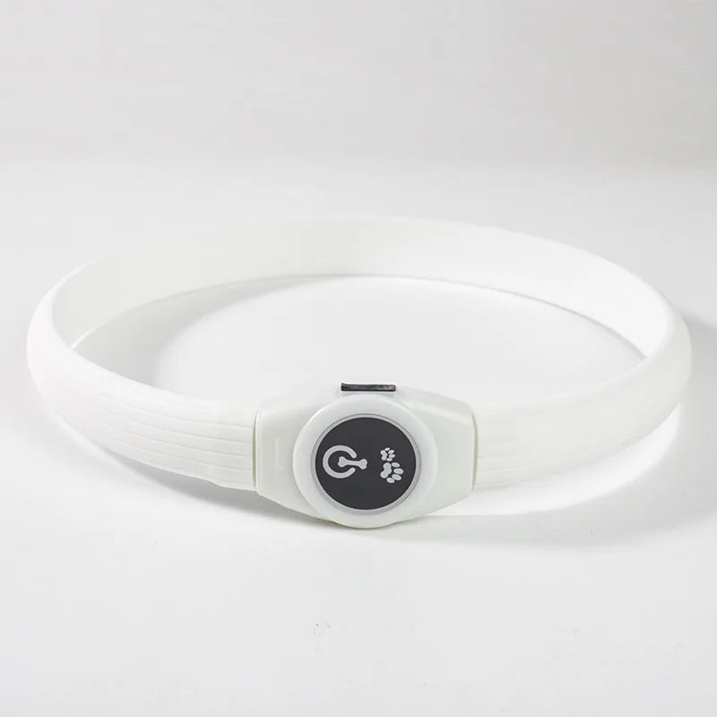 LED Light-Up Dog Collar