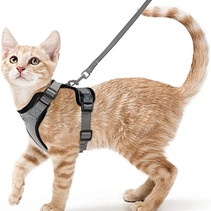 Soft Escape-Proof Cat Harness & Leash