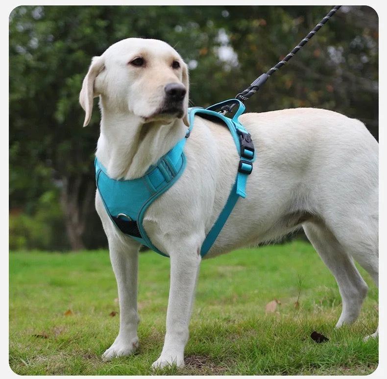 Dog Harness & Leash Set with AirTag Holder