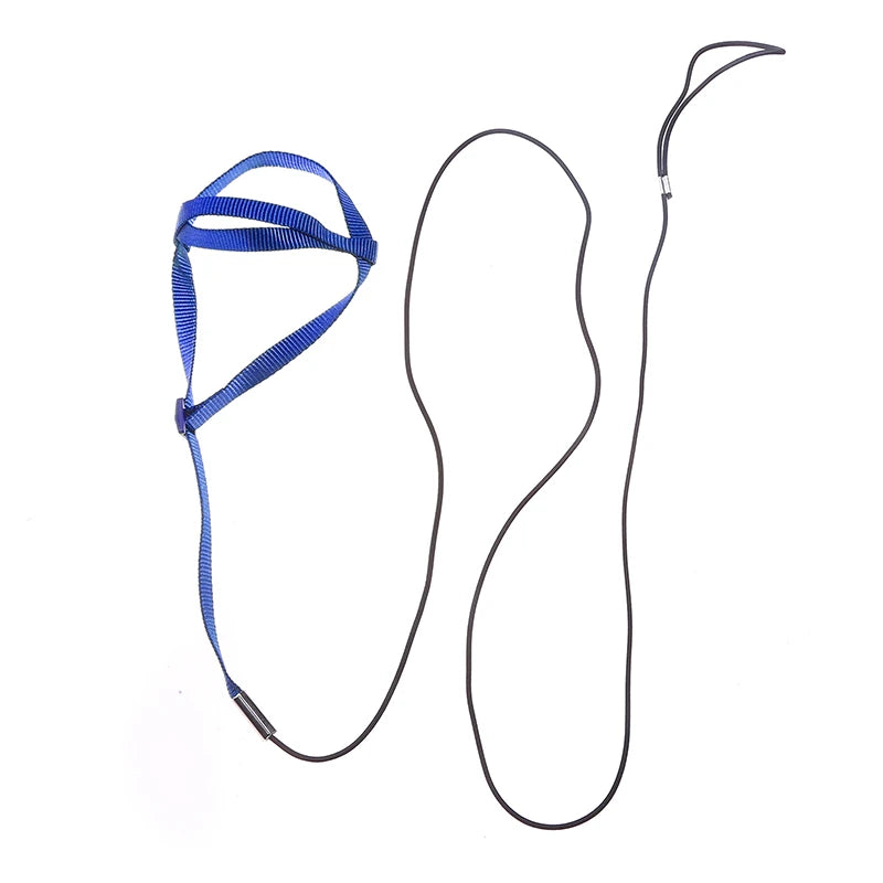 Parrot Flight Harness & Leash