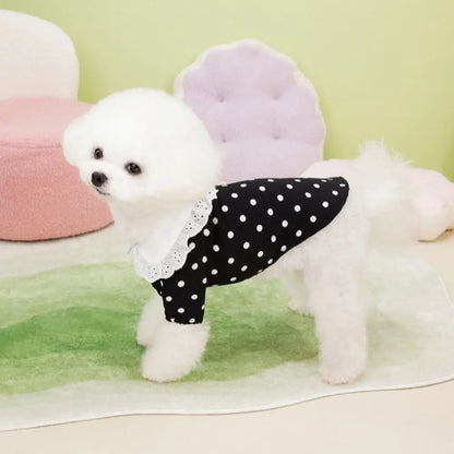 Polka Dot Summer Dog Dress