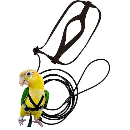 Parrot Flight Harness & Leash