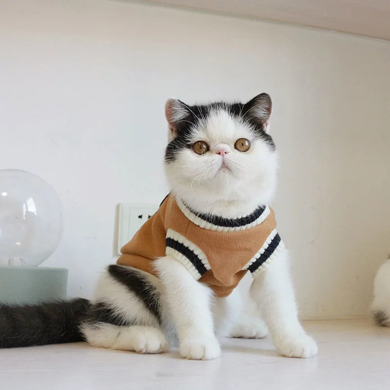 Winter Knit Pet Pullover