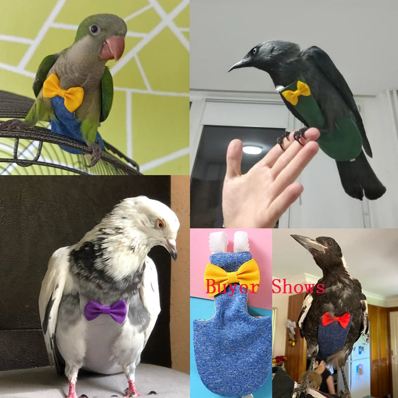 Bird Flight Suit Diaper (Parrots & Parakeets)