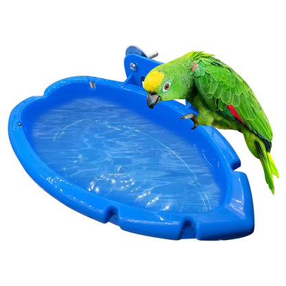 Parrot Bath & Feeding Box