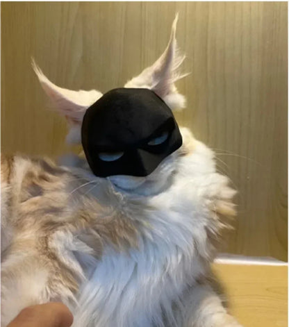 Bat Hero Pet Mask