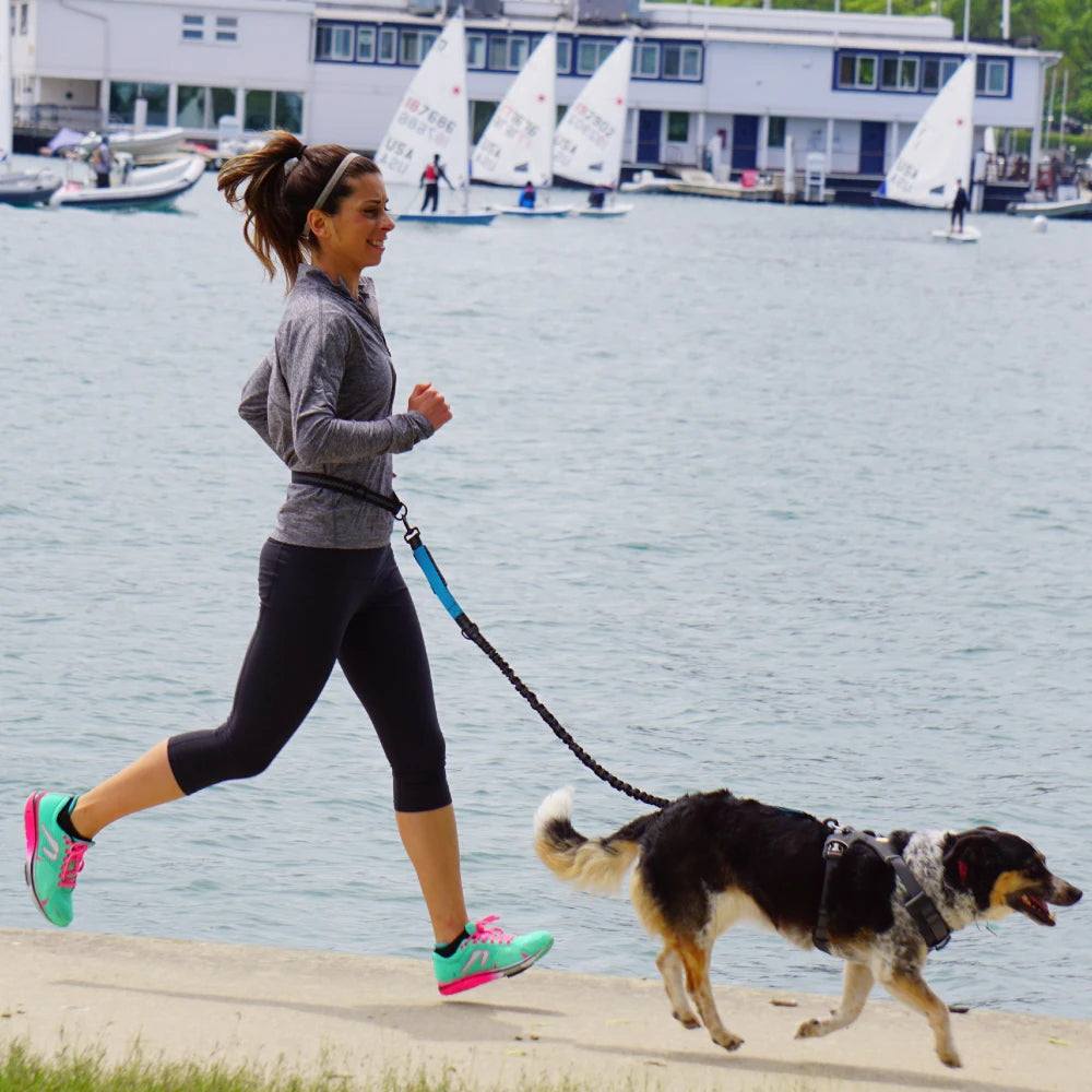 Hands-Free Dog Leash with Waist Belt