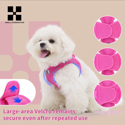 Reflective Dog Harness & Leash Set