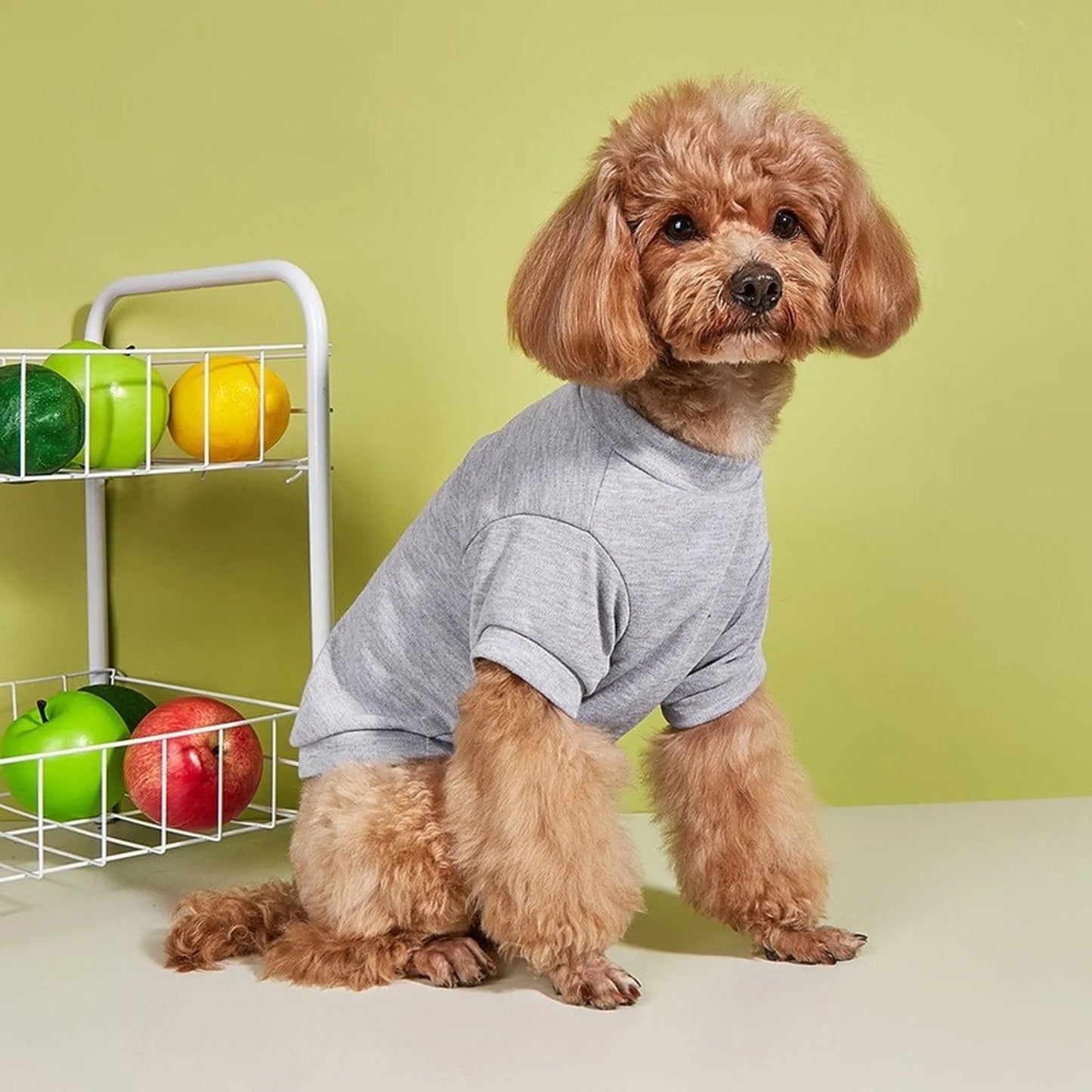 Solid Summer Dog Tee