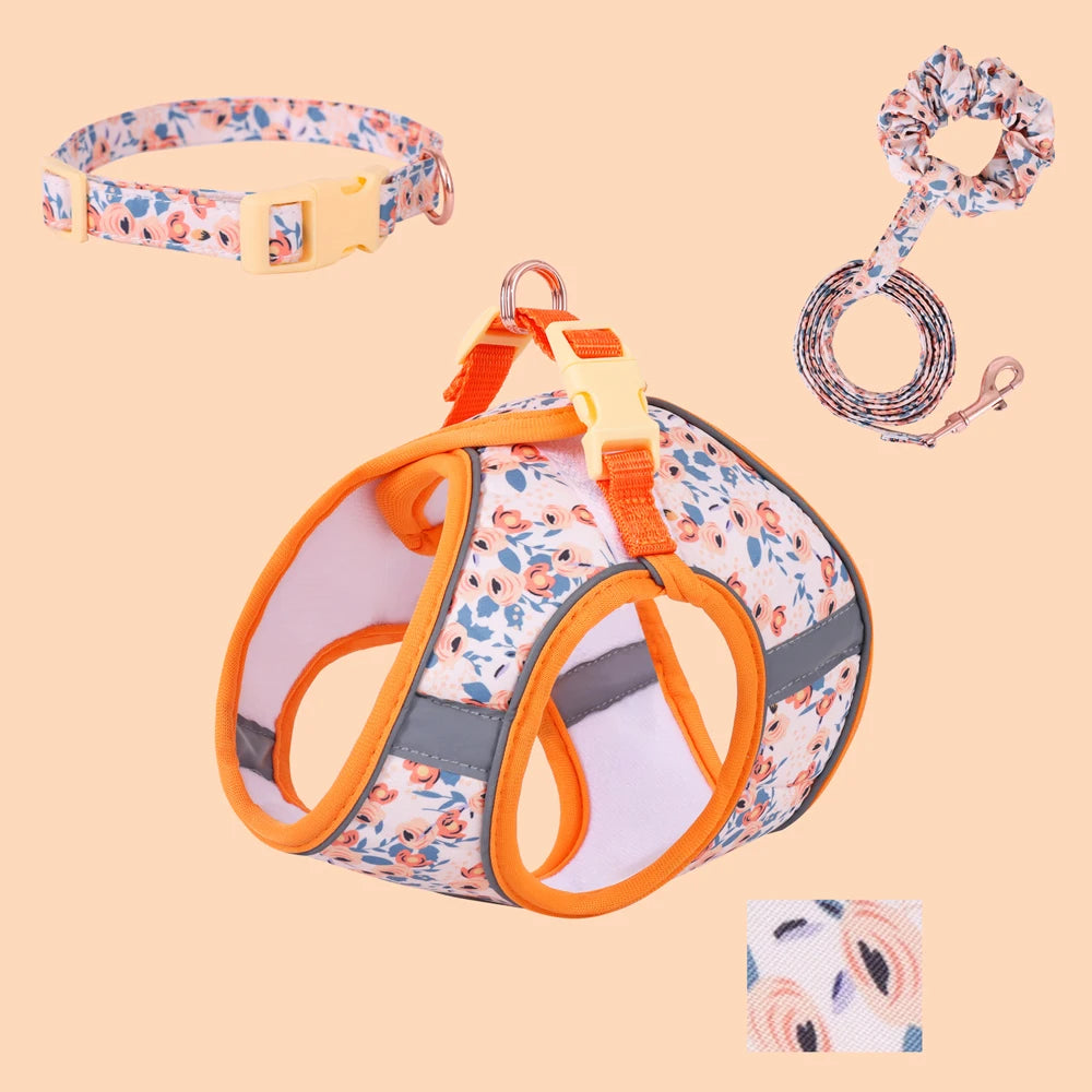 Small Dog Harness & Leash Set