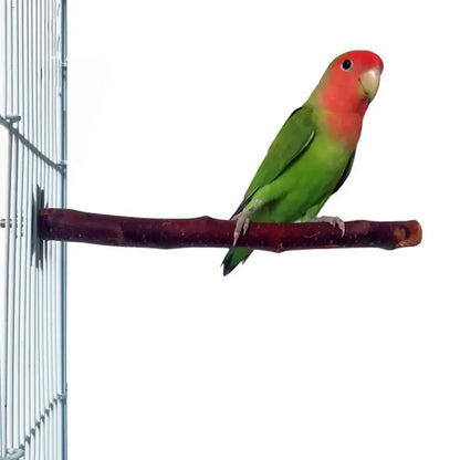 Natural Wood Branch Bird Perch