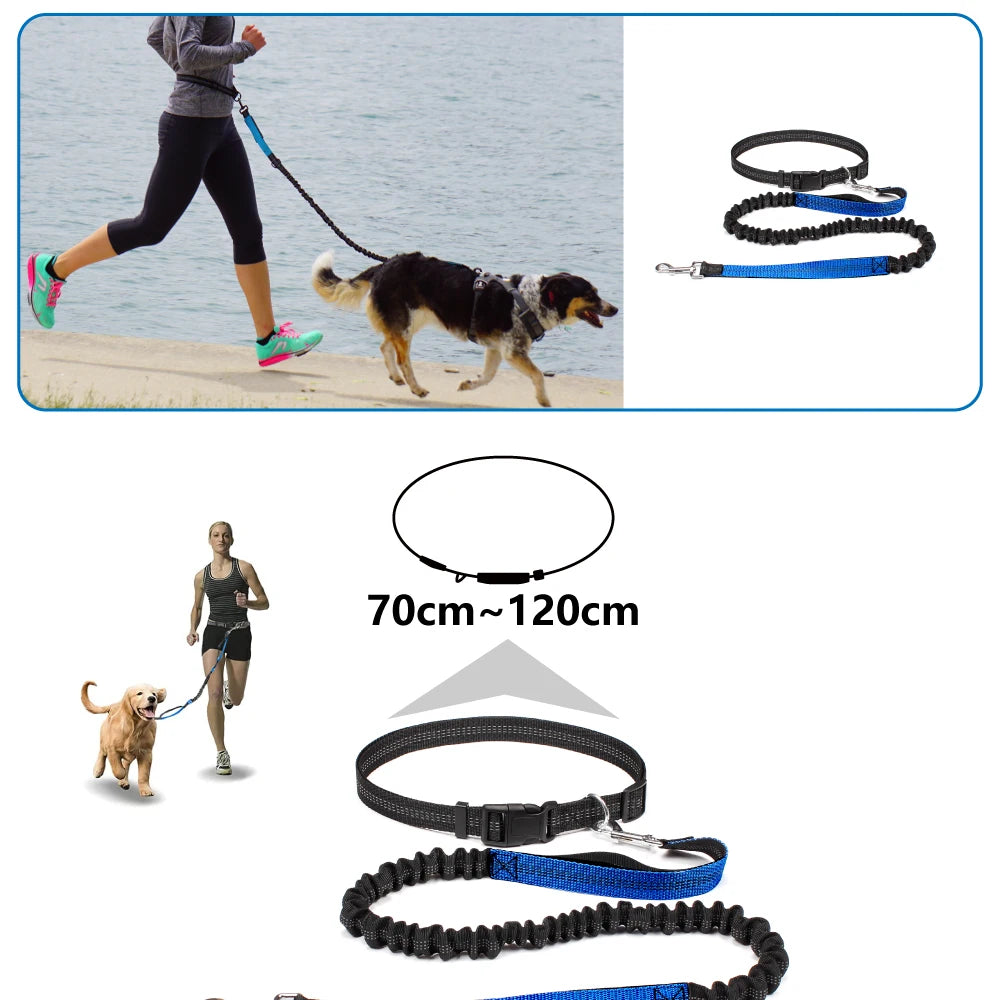 Hands-Free Dog Leash with Waist Belt