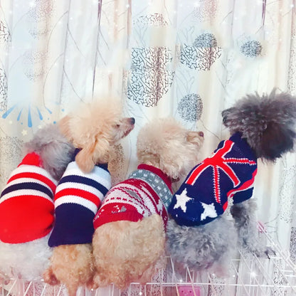Cozy Knit Dog Sweater