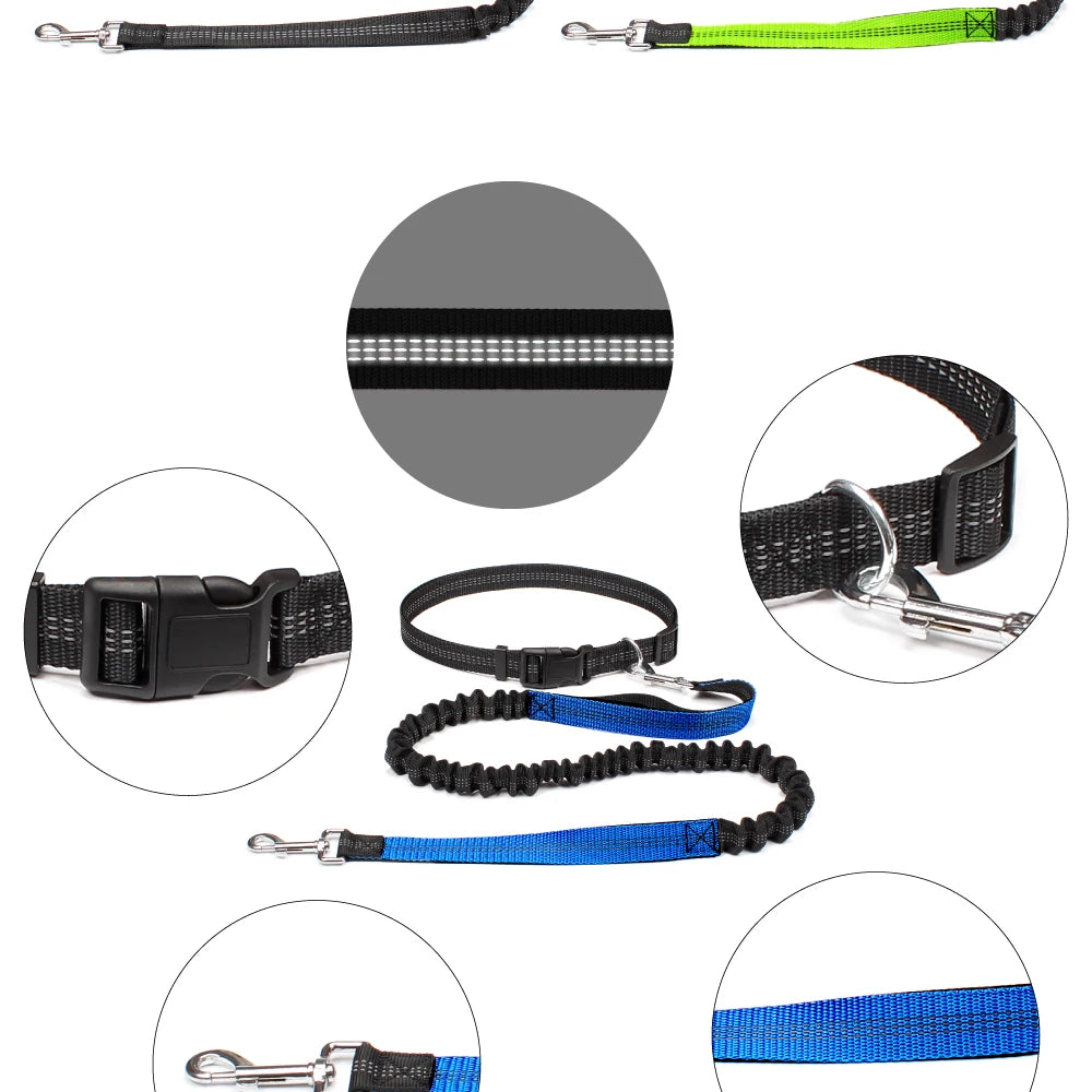 Hands-Free Dog Leash with Waist Belt