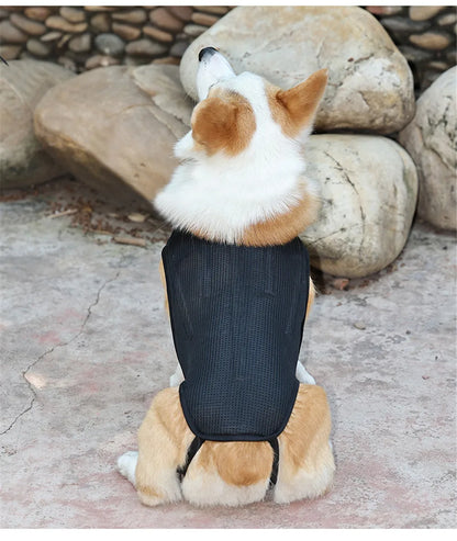 Dog IVDD Back Brace & Support