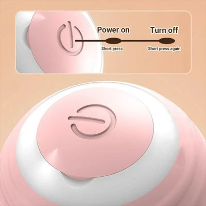 Automatic Rolling Cat Ball