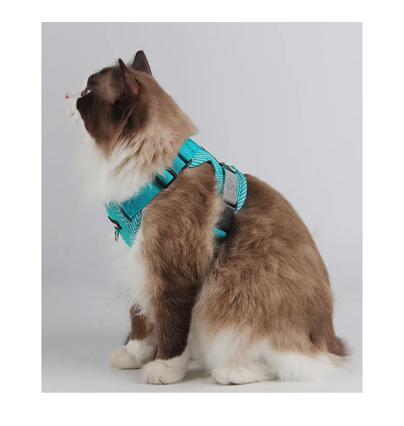 Reflective Mesh Cat Harness & Leash Set