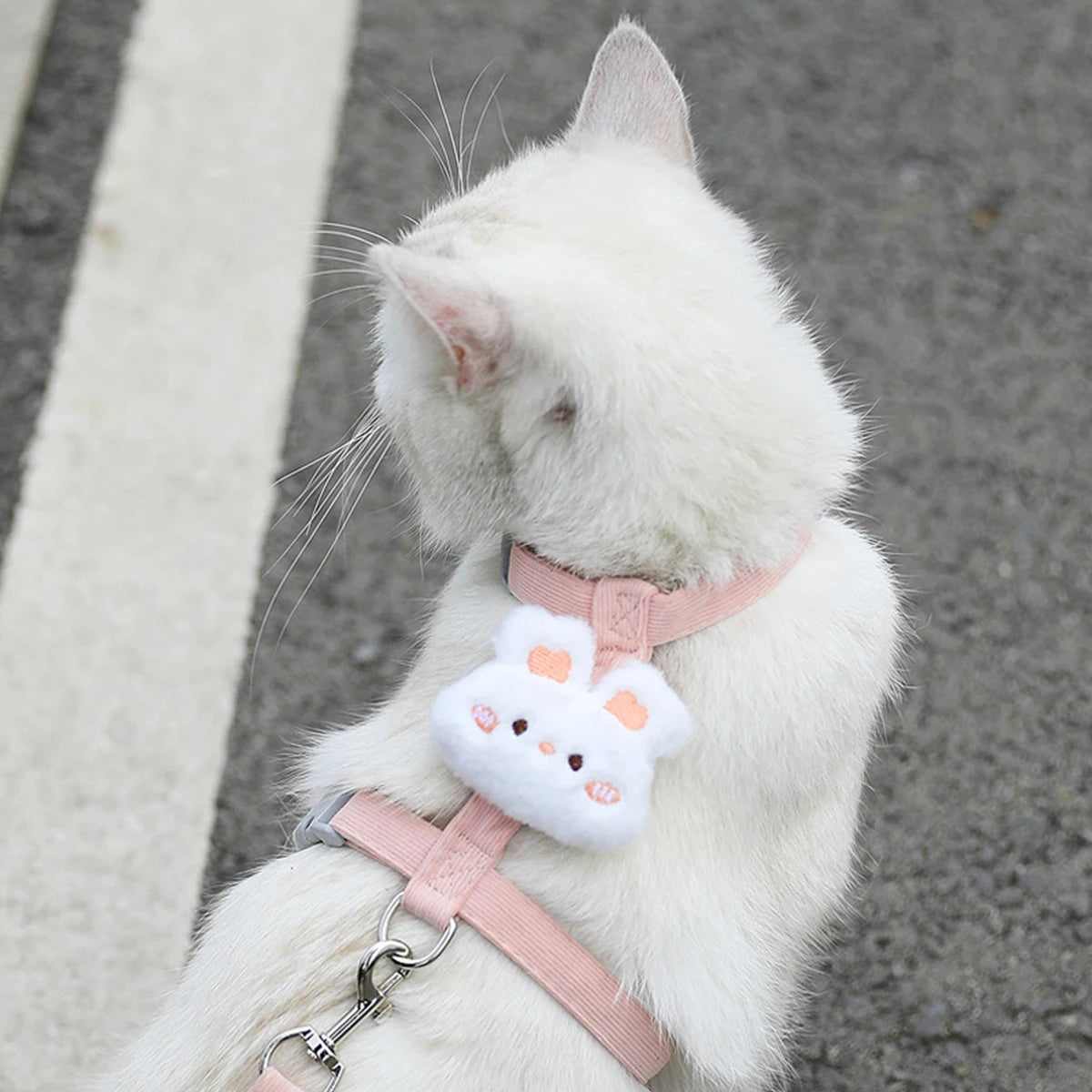 Adjustable Breathable Dog & Cat Harness Set