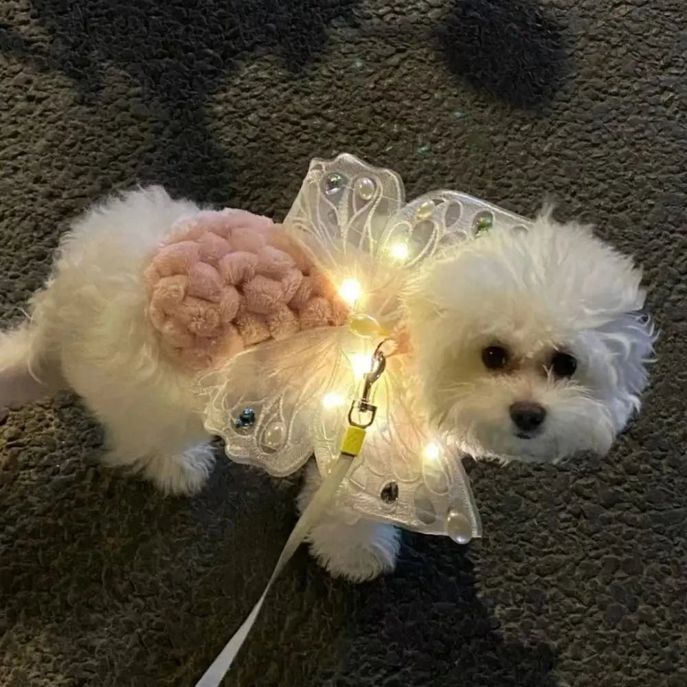 Glowing Butterfly Wings Pet Accessory