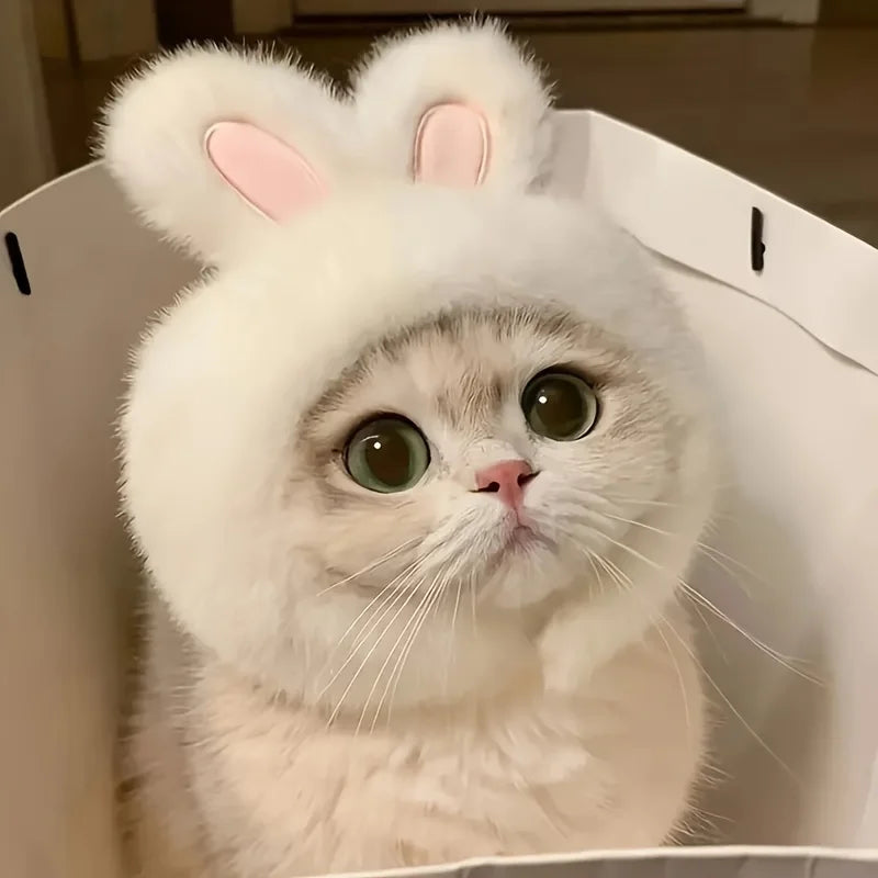 Knit Bunny Ears Hat for Cats & Dogs